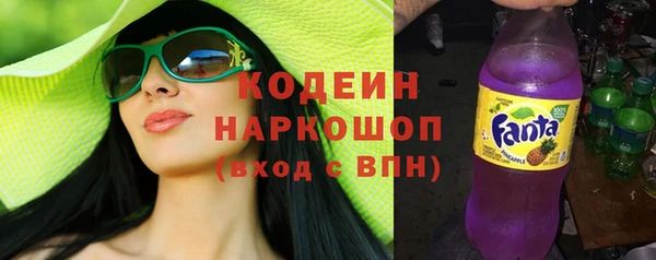 стафф Гусев