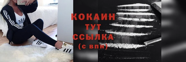 стафф Гусев