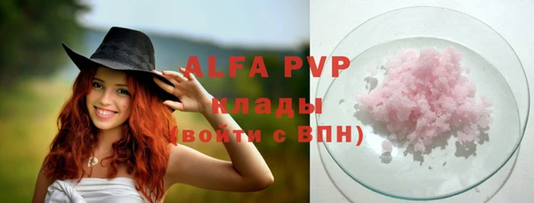 стафф Гусев