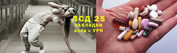 стафф Гусев