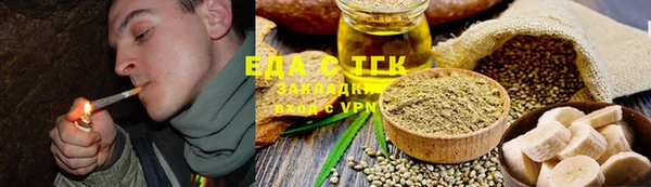 стафф Гусев