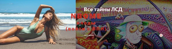 стафф Гусев