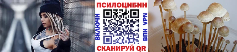 Псилоцибиновые грибы прущие грибы  Купить где  Каменка 